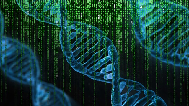 DNA matice
